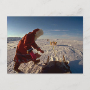 Inuk girl with dog team, Pelly Bay Postcard