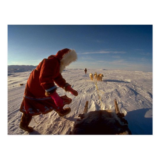 Inuk girl with dog team, Pelly Bay Postcard