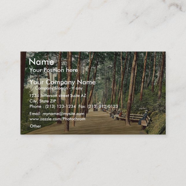 Invalids' walk, Bournemouth, England vintage Photo Business Card (Front)