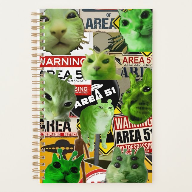 Invasion de chats Aliens : Les Felines de la zone  (Devant)