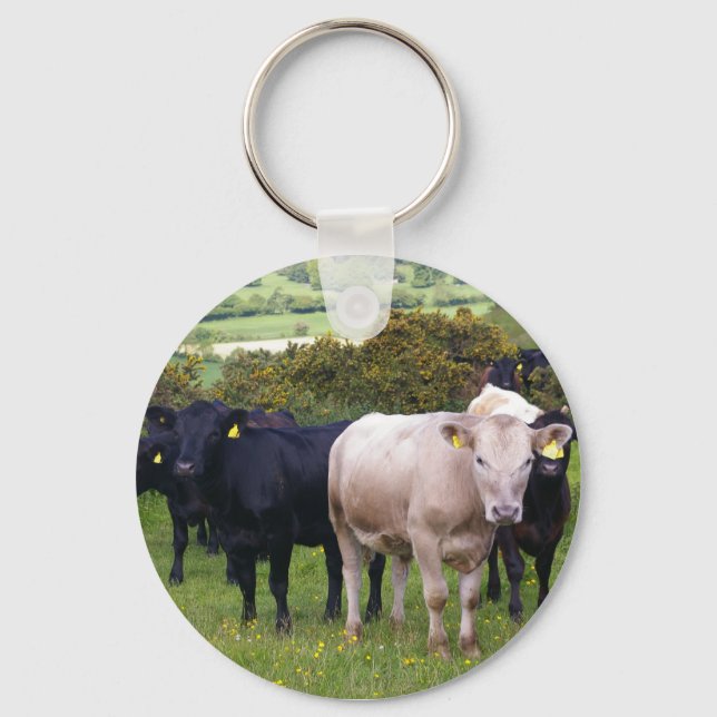 Invasion Keychain (Front)