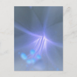 Inverser la carte postale Lily