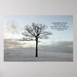 Invincible Summer - Light in the Dark Winter Poster