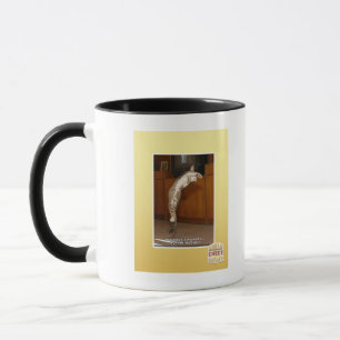 Invisible 3 Pointer Mug