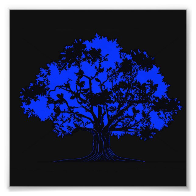 Invisible Oak Photo Print (Front)