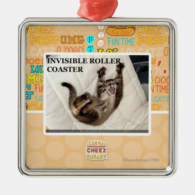 Invisible Roller Coaster Metal Ornament (Front)