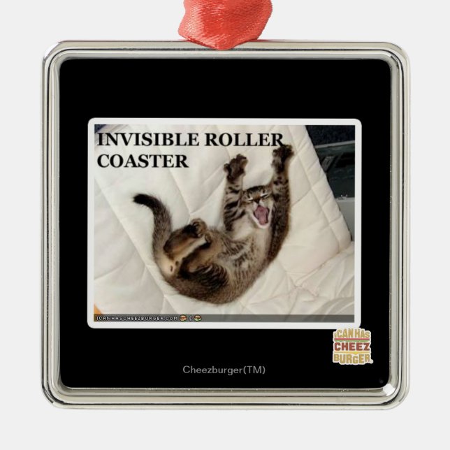 Invisible Roller Coaster Metal Ornament (Front)