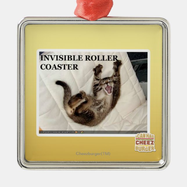 Invisible Roller Coaster Metal Ornament (Front)