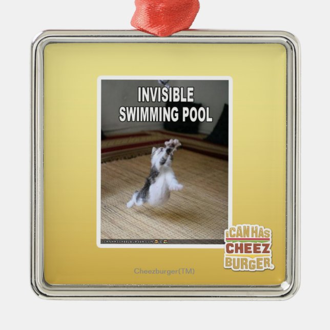 Invisible Swimming Pool Metal Ornament (Front)