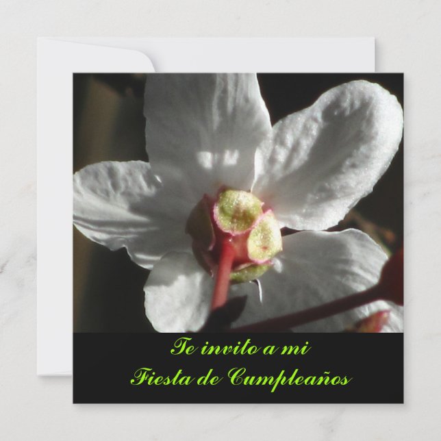 Invitación - Te invito a mi Fiesta de Cumpleaños Invitation (Front)