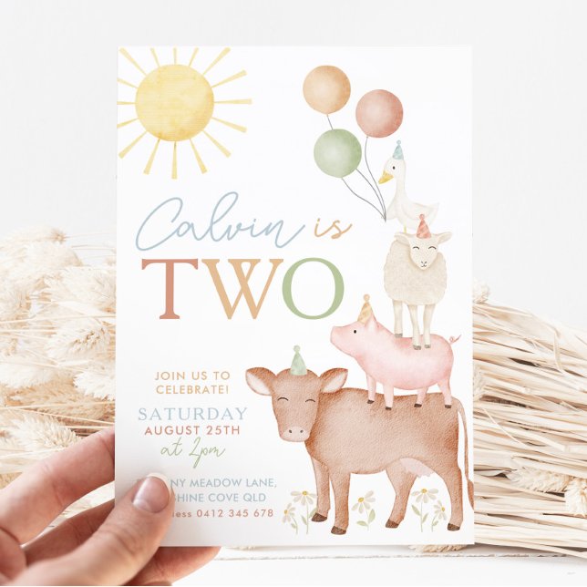Invitation 2e anniversaire Animaux de ferme Barnyard Party Bo (Créateur téléchargé)