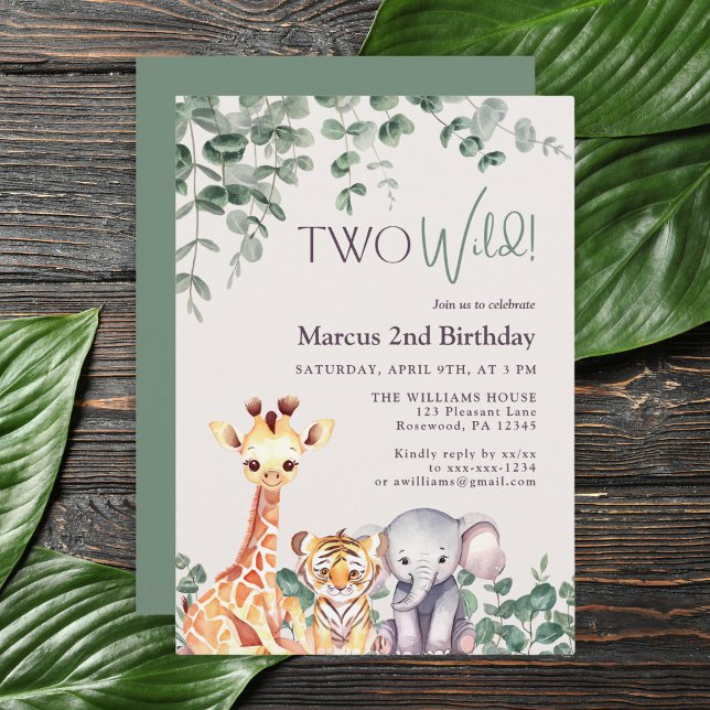 Invitation 2e anniversaire deux sauvages Safari Jungle aquare (Créateur téléchargé)