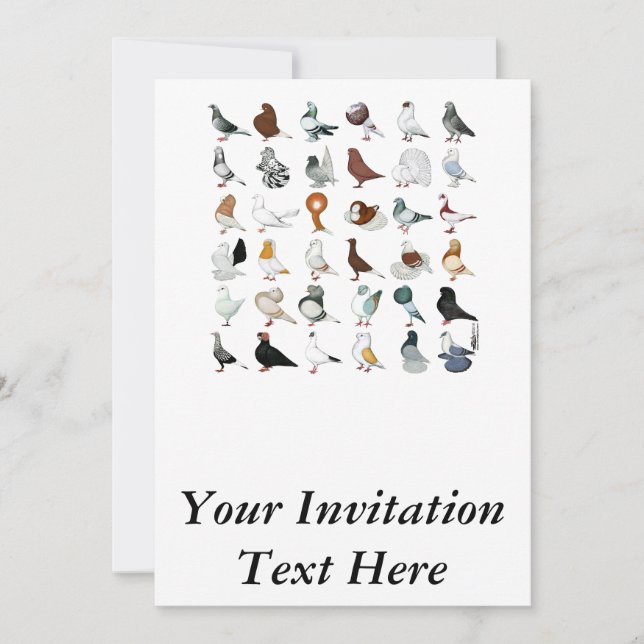 Invitation 36 races de pigeon (Devant)
