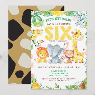 Invitation 6e anniversaire fête Animaux Zoo Jungle Safari mig