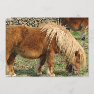 Invitation à Cheval de châtaignier