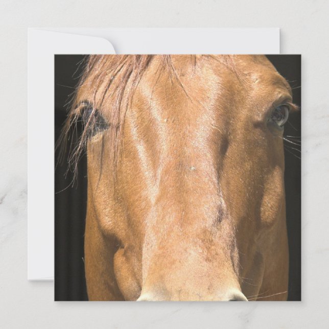 Invitation à Cheval de châtaignier (Devant)