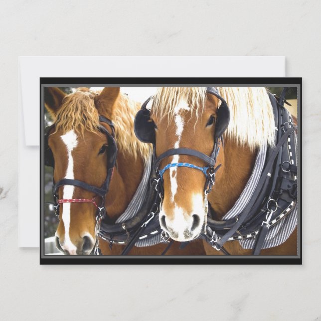 Invitation à Cheval de Clydesdale (Devant)