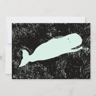 invitation à la baleine blanche