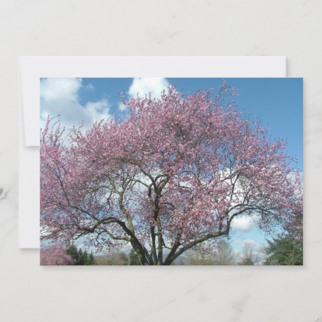 invitation à la fête d'anniversaire (Devant)