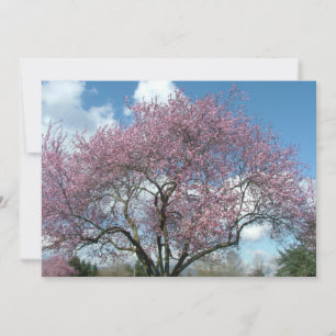 invitation à la fête d'anniversaire