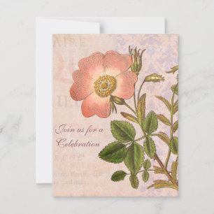 Invitation à la fête d'anniversaire des Roses Vint