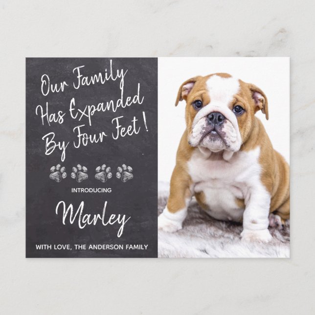 Invitation à la fête de douche pour nouveau chiot (Devant)
