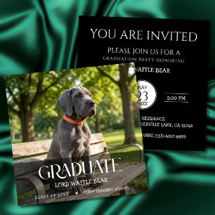 Invitation à la fête de fin d'études de chien Phot