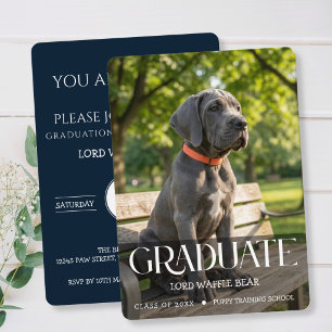 Invitation à la fête de fin d'études du chien Phot