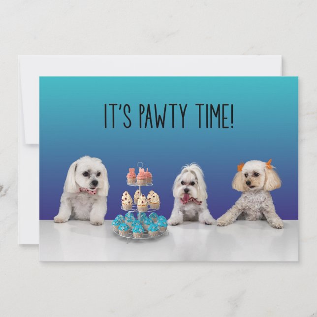 Invitation à la fête de Gotcha Day (Devant)