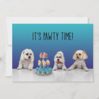 Invitation à la fête de Gotcha Day