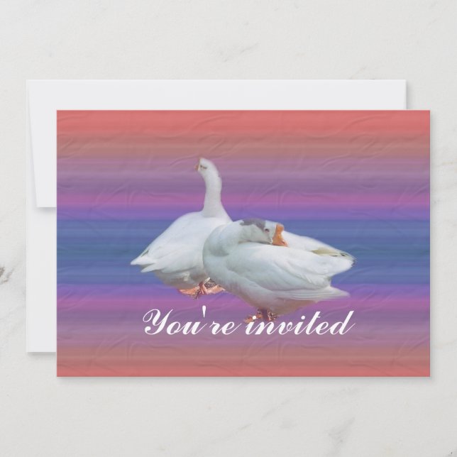 invitation à la partie (Devant)