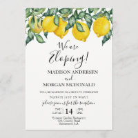 Invitation à la réception du Lemons Elopement