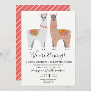 Invitation à la réception Llama Elopement