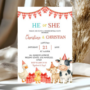 Invitation à la révélation du sexe de bébé Fête à