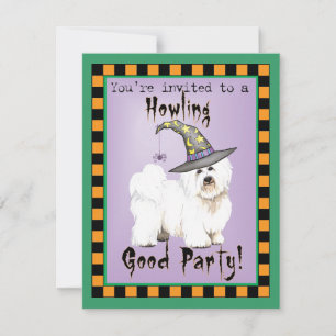 Invitation à la sorcière de coton