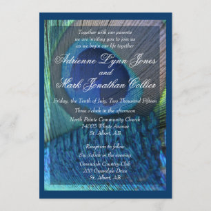 Invitation à plumes de paon avec frontière