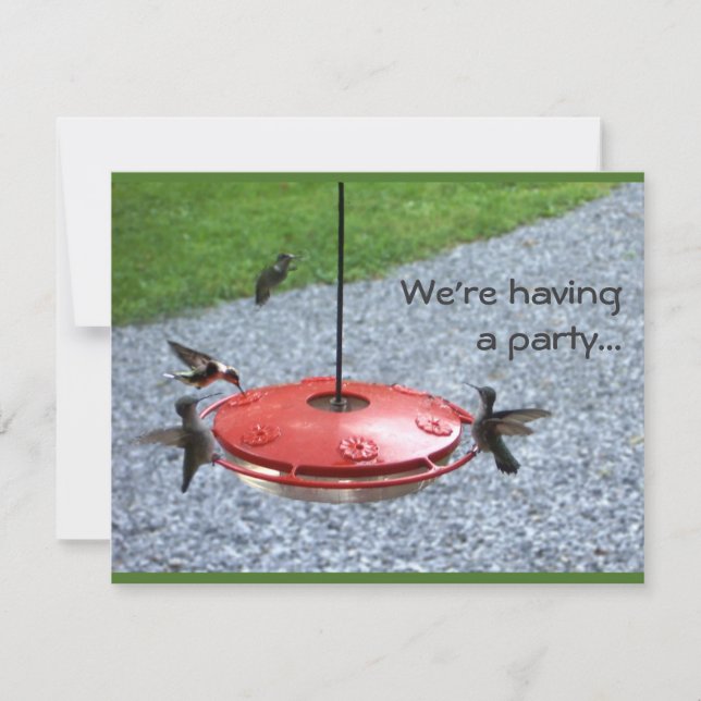 Invitation à une fête des colibris (Devant)