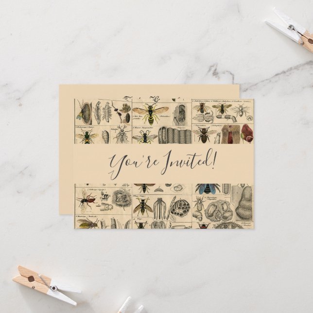 Invitation Abeille Insecte Bug Wasp Nature Peinture des abeil (Devant/Arrière en situation)