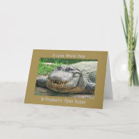 Alligator Orthodonte Open House avec mauvais dents