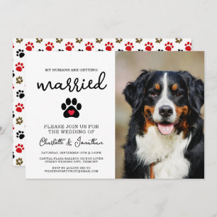 Invitation Amoureux des chiens photo moderne simple Mariage a