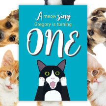 Amusant 1er Anniversaire Cute Surpris Tuxedo Chat
