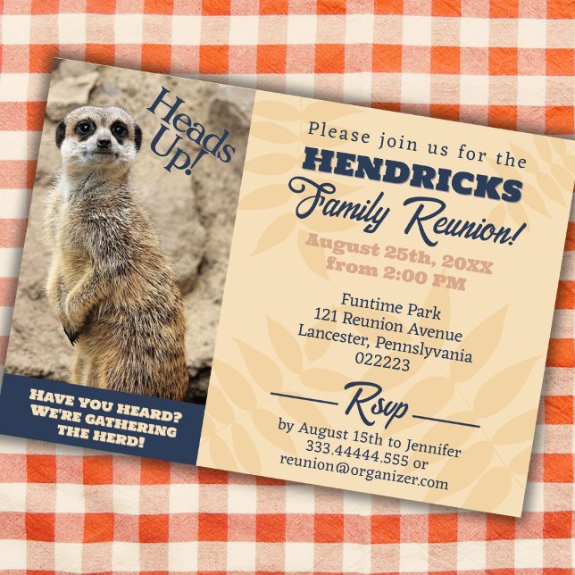 Invitation Amusant, mignon Meerkat Retrouvailles familiales E (Funny Family Reunion Invitation with Meerkat)