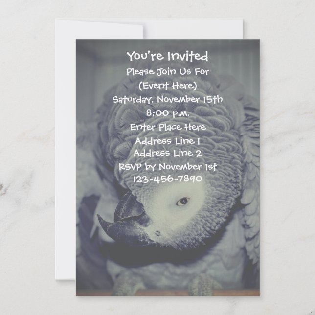 Invitation Amusante fête du perroquet gris africain (Devant)