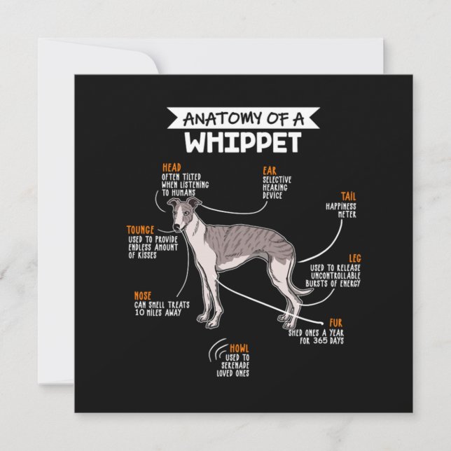 Invitation Anatomie D'Un Chien Whippet (Devant)