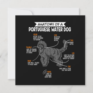 Invitation Anatomy Of A Portuguese Water Dog Dog Owner Gift