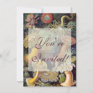 Invitation Anémone de mer Nature scientifique Océan