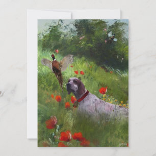 Invitation Anglais Setter, Chasse de faisan