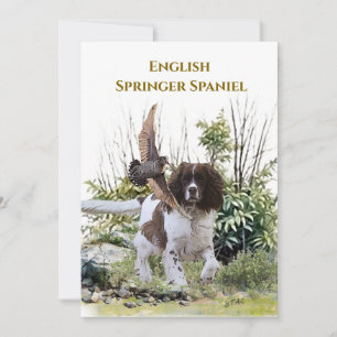 Invitation Anglais Springer Spaniel