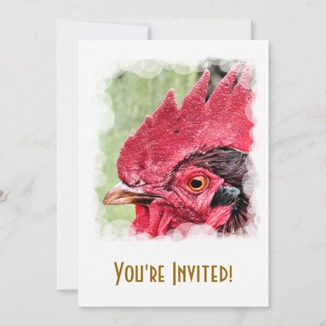 INVITATION ANIMAUX AGRICOLES, ROOSTER (Devant)