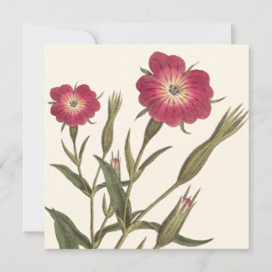 Invitation Anniversaire botanique Vintage pour Lady Gardener